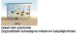 Çözeltideki iyon sayısı arttıkça kaynama noktası artar. Kaynama sıcaklığı yükselmesi ile mol kütlesi hesaplanmasına EBÜLYOSKOPİ denir. Saf sıvıların kaynama sürecince kaynama sıcaklığı değişmez.