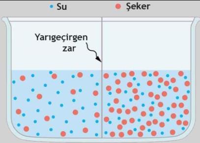 T d = K d. M D.N alçalması sabit çözünmüş taneciklerin derişimi Su içi K d = 1,86 dır. Çözücü türü değişirse donma noktasındaki düşmeler farklı olur.