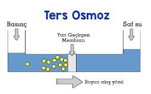 IX-Bu anda ozmos durur.ve sistem dengeye gelmiş olur. Bitkiler yapraklar terleme yoluyla su kaybettiğinden derişim artar. Osmotik basınçla su köklerden yapraklara taşınır.