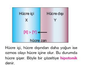 Vücudun su/tuz dengesinin bozulması halinde uygun bir can kurtaran çözelti serum şeklinde