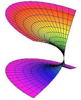 space-like veya time-like olur. Eğrinin parametrik ifadesi de γ ( u ) = (0, f ( u), g( u)) dır.