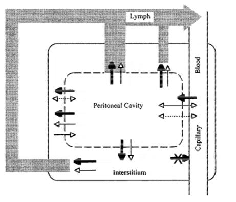 PD sırasında kapillerlerden periton boşluğuna UF olurken, periton boşluğundan peritona ve lenfatiklere su geçişi olur. Mekanizma?