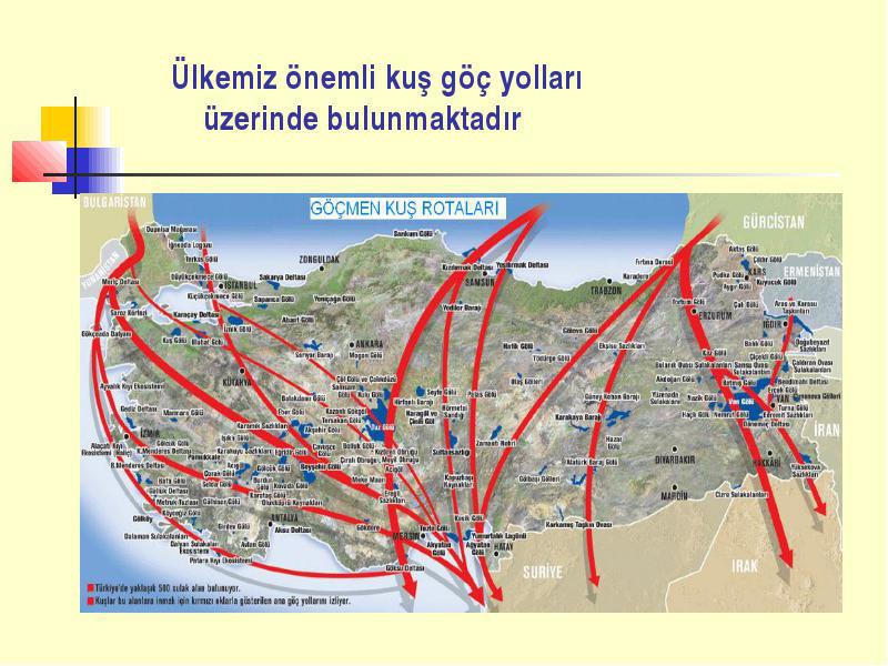 4 Urla-Çeşme-Karaburun Yarımadası Çevre Sorunları İnceleme Raporu lara Dair Yönetmelik in 13. maddesinin 1. ve 2.fıkrası ile 18. maddenin 1.