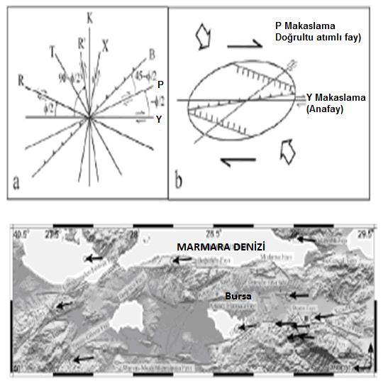 faylar ve bölgede gelişen havzalar