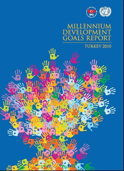 BM Kalkınma Programına Göre UNDP (United Nation Development Program), her ülkedeki yerel BM kadrolarının yardımıyla, Milenyum Kalkınma Hedeflerinin ulusal kalkınma politikalarıyla bütünleştirilmesine