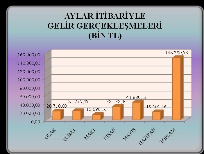 Sonuç olarak Üniversitemiz 2009 yılı Ocak Haziran döneminde giderlerde beklentilerin %41,41 ini ve gelirlerde ise %47,13 ünü gerçekleştirmiştir.