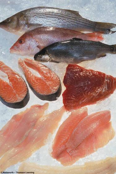 Balıktaki ağır metaller karaciğerde mi birikir? Balıklardaki kirlilikler Karaciğerde ve organlarda birikebilir. Yağda çözünen kirlilikler.