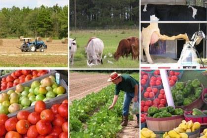 EĞİTİMİN TOPLUMSAL NEDENLERİ İnsanlar temel ihtiyaçlarını doğadan karşılar ve sürekli doğa ile mücadele