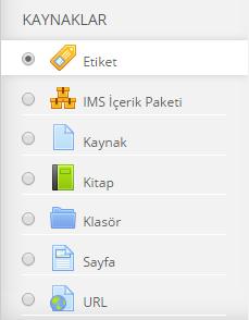 53 Kaynaklar > Etiket (Label) Ders ana sayfasında görünecek bir açıklama ekler.