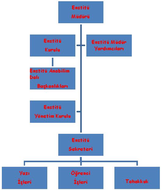 Enstitü Organizasyon Şeması İç Kontrol Standartları Risk Değerlendirme Komisyonu Sıra No Ünvanı Adı Soyadı 1 -Enstitü Risk