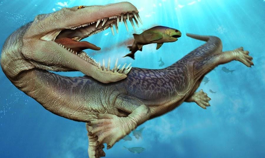 4. NOTHOSAURUS 200 milyon yıl önce yaşamış bu korkunç yaratıkların boyu 4 metreyi aşkındı ve keskin dişleriyle denizin en iyi avcılarındandı Sanat etkinliği Siyah kartonun üzerine kulak çöplerinden