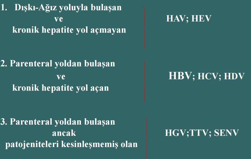 VİRAL HEPATİT ETKENLERİ TTV: