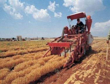 Tarımda uygulanan yanlış politikalar ve yüksek maliyetler nedeniyle