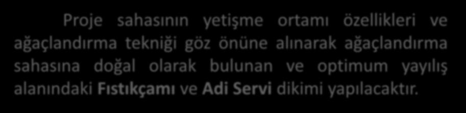 3.1 Ağaçlandırma işleri 3.