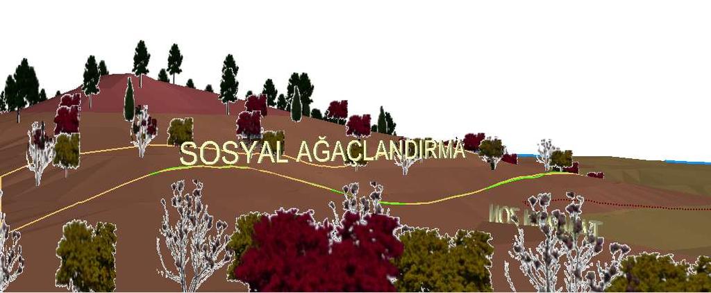 Ağaçlandırma sahasının bitişiğinde bulunan yerleşim yerlerinde 50m lik bir tampon zon bırakarak harnup (Ceratonia siliqua), Badem (Prunus dulcis), Ceviz (Juglans regia) ve Yalancı