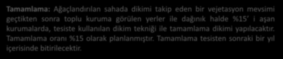 Tamamlama tesisten sonraki bir yıl içerisinde bitirilecektir.