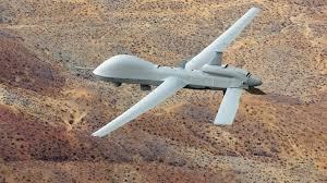 Şekil 2.4 : Gray Eagle 2.1.5 Predator XP General Atomics (ABD) tarafından üretilmiş olan Predator XP insansız hava aracı 1995 yılından beri aktif olarak kullanılmaktadır.