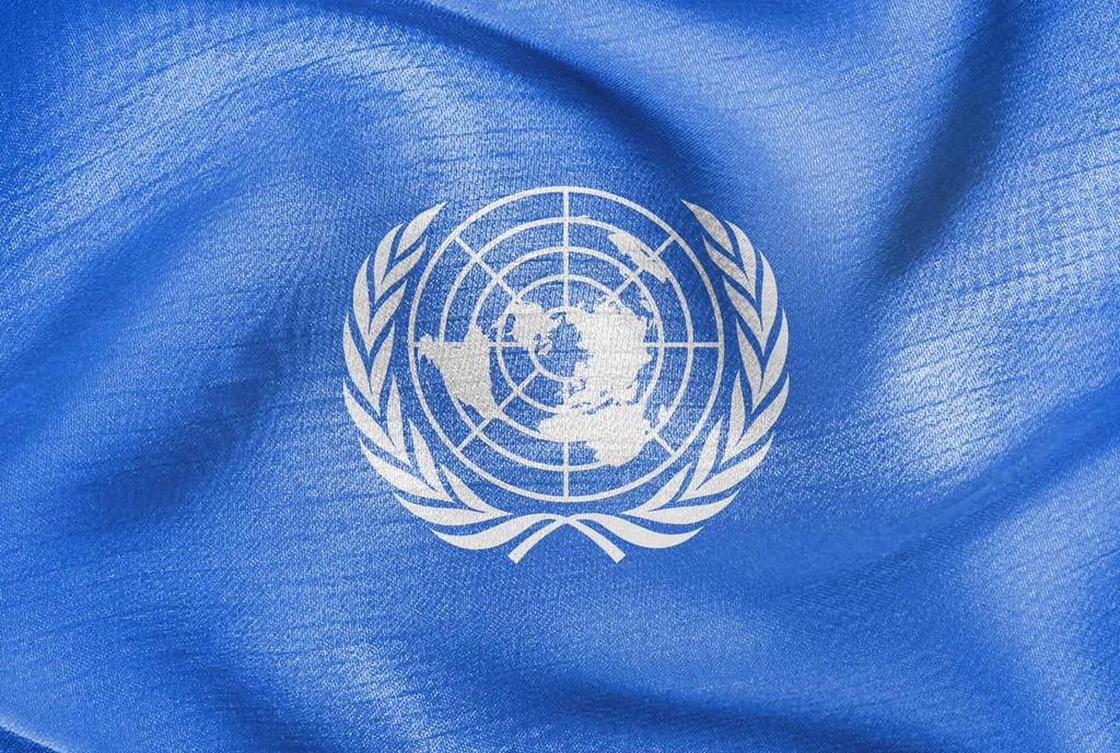 BM küresel ilkeler sözleşmesi