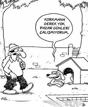 5. Diyalektik Yöntem Nedir? Yöntemli ve doğru düşünme, doğru bilgiye varma sanatıdır. Diyalektik Yönteme Göre: Var olan her şey birbiriyle ilintilidir.