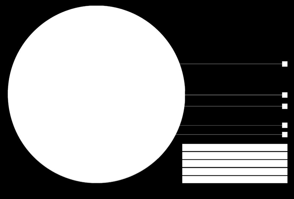 görmüş taşları kullanmayınız 29: Konik, Flap Diskler 27: Düz, Flap Diskler 11: Konik, Çanak Taşları GÜVENLİK STANDARTLARI Sonnenflex ürünleri, Avrupa ve Dünya normlarını baz alarak en yüksek kalite