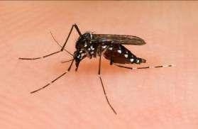 Bulaş Aedes cinsi sivrisineklerin ısırmasıyla Siyah renkli, vücutlarının ve bacaklarının üzerinde beyaz çizgiler Yebşkin