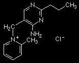 Primidinler Amprolyum, diaveridin, primetamin Amprolyum Tiamin antagonisti 1.
