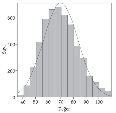 HİSTOGRAM: