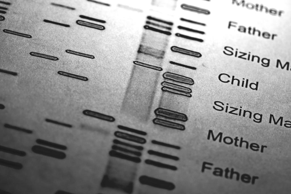 HİZMETLERİMİZ KİMLİKLENDİRME (DNA) ÇALIŞMALARI Adli idantifikasyon (kimliklendirme), biyolojik delilden kaynaklanan genetik materyalin tespiti, izolasyonu ve analizi ile gerçekleştirilir.