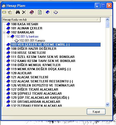 Şekil 3.30 Hesap Planı.