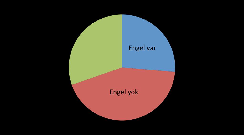 AB Pazarına girişte engelle