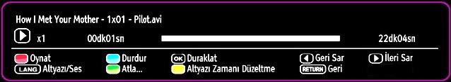 Dil (Oynatma Görünümü): Seçili dosyayı küçük bir ön görünüm ekranında gösterir. BİLGİ: Filtre seçeneklerini değiştirir. FAV: Dosyaları isme göre sıralar.