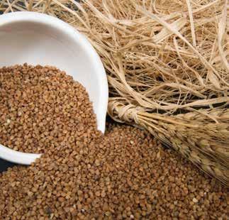 dönüştürülerek kullanılmaktadır. Kodeksi nde ise ekmek, Buğday ununa; su, kullanılan temel malzemeleri oluşturur.