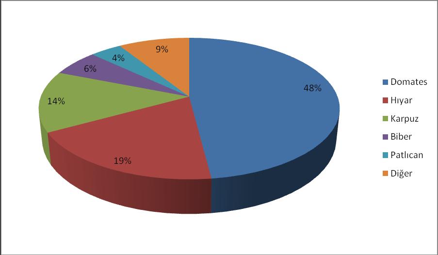 Şekil 1.3. Örtüaltında üretilen sebzeler (2013) (Kaynak: Ö.