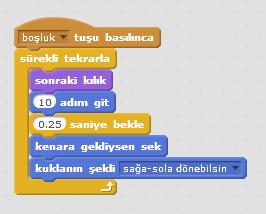 13 Bir başka sorunumuz da kuşumuz kenara gelince dönüyor ama bazen başaşağı dönüyor.