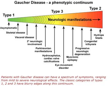 Gaucher Hastalığı tip Tip ve arası for Nörolojik tutulum : - yaş arası ölü lere ede ola ilir.