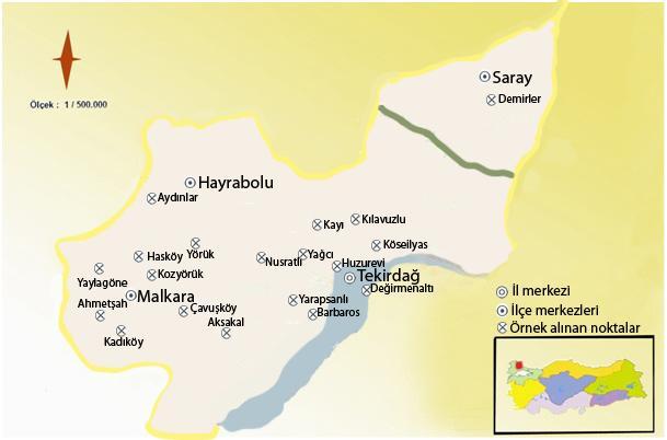 Şekil 3.1. Tekirdağ ili soğan üretimi yapılan bölgelerdeki sürvey alanları 3.1.2.