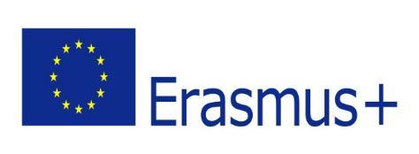 Erasmus+ özel ihtiyaç desteği başvuru formu hakkında yardımcı olmaları için Uluslararası İlişkiler Ofisine talebinizi iletiniz.