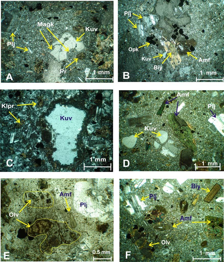 Şekil 4. Magma karışımı ile oluşan Garipçe andezitik daykının polarizan mikroskop görüntüleri (Ç.
