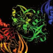 PRGF-ENDORET TEKNOLOJİSİ yi, konsantre etmeyi ve almayı sağlar; Kanımızda, doğal olarak dokuları tamir etmek için bir dizi protein