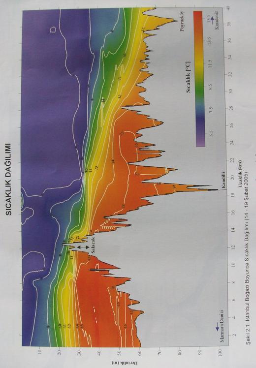 Şekil 5 Sıcaklk Dağlım Yani Boğazın Marmara çıkışında sanki hortumun ucunu sıkıyormuşsunuz gibi bir davranış şekli ile Marmara ya hızlı bir şekilde çıkar.