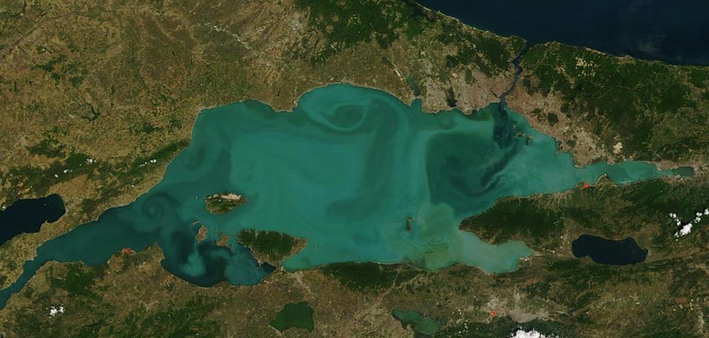 çıkmasına neden olur. İşte bu nedenle Marmara Denizi besin bolluğu dolayısı ile de balıkların zevkle dolaştığı bir yer olur.