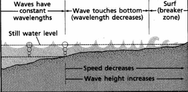 DALGALAR Rüzgar, akıntı, gelgit veya depremler sonucu oluşurlar.
