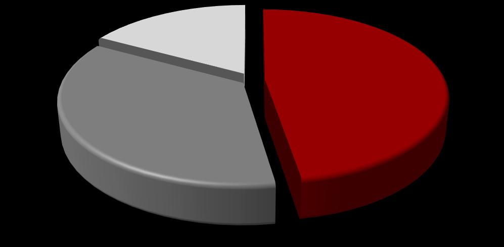 262 Elektrik,Gaz, Buhar 1.794 1.131 1.338 676 947 İnşaat 13,2% Ulaştırma ve Depolama %28,4 Madencilik, Taşocakçılığı Su Temini, Atık Yönetimi 717 382 207 148 448 36 3 2 2 1 3.