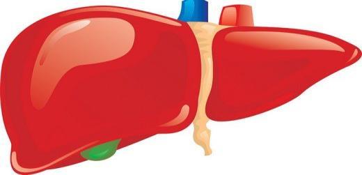 Karaciğer Hastalığı Non alkolik yağlı karaciğer hastalığı %49-62 arasında Stabil-erken evre (child a ve b )karaciğer hastalığında metformin kullanılabilir.