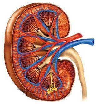 Böbrek Hastalığı SGLT-2 inhibitörleri, egfr <60 ise dapagliflozini, egfr < 45 ise empagliflozini