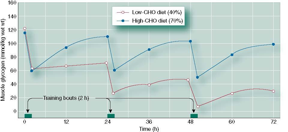 Influence of Dietary Carbohydrate (CHO) on Mu
