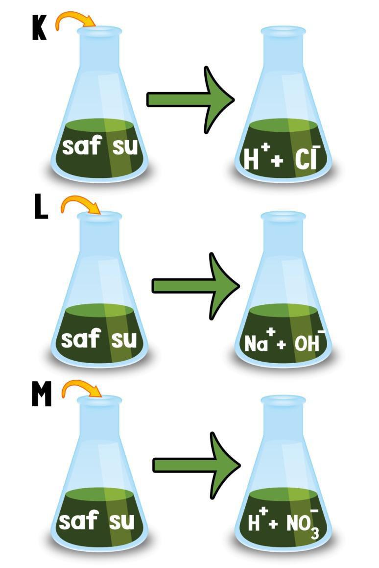 5 Aşağıda K,L ve M maddelerinin saf su içerisindeki iyonlaşmaları ve sonucunda oluşan çözeltiler gösterilmiştir.