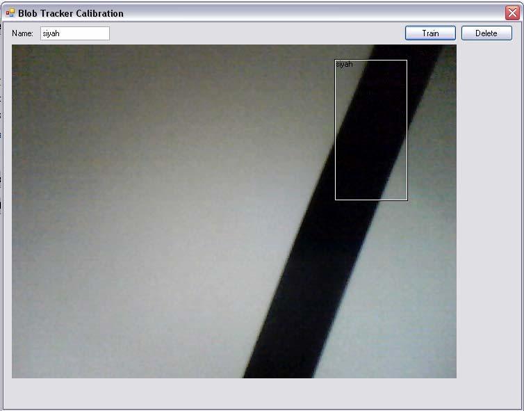 159 hareket ortamında bulunan zemin üzerindeki siyah çizgi sürekli olarak web kameradan alınan görüntülerin ortasında kalması sağlanmaya çalışılır.