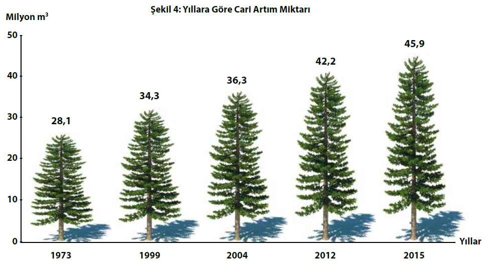 Yıllık cari artım; orman ağaçlarında bir vejetasyon (büyüme) döneminde meydana gelen boy ve çaptaki artış, yani orman servetindeki yıllık hacim artışı olup, m 3 cinsinden hesaplanmaktadır.