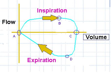 Akım - Hacim Eğrisi A: İnspirasyon başlar. B: Akım maksimumdur (pik inspiratuar akım hızı) ve hacimde artış gözlenir.